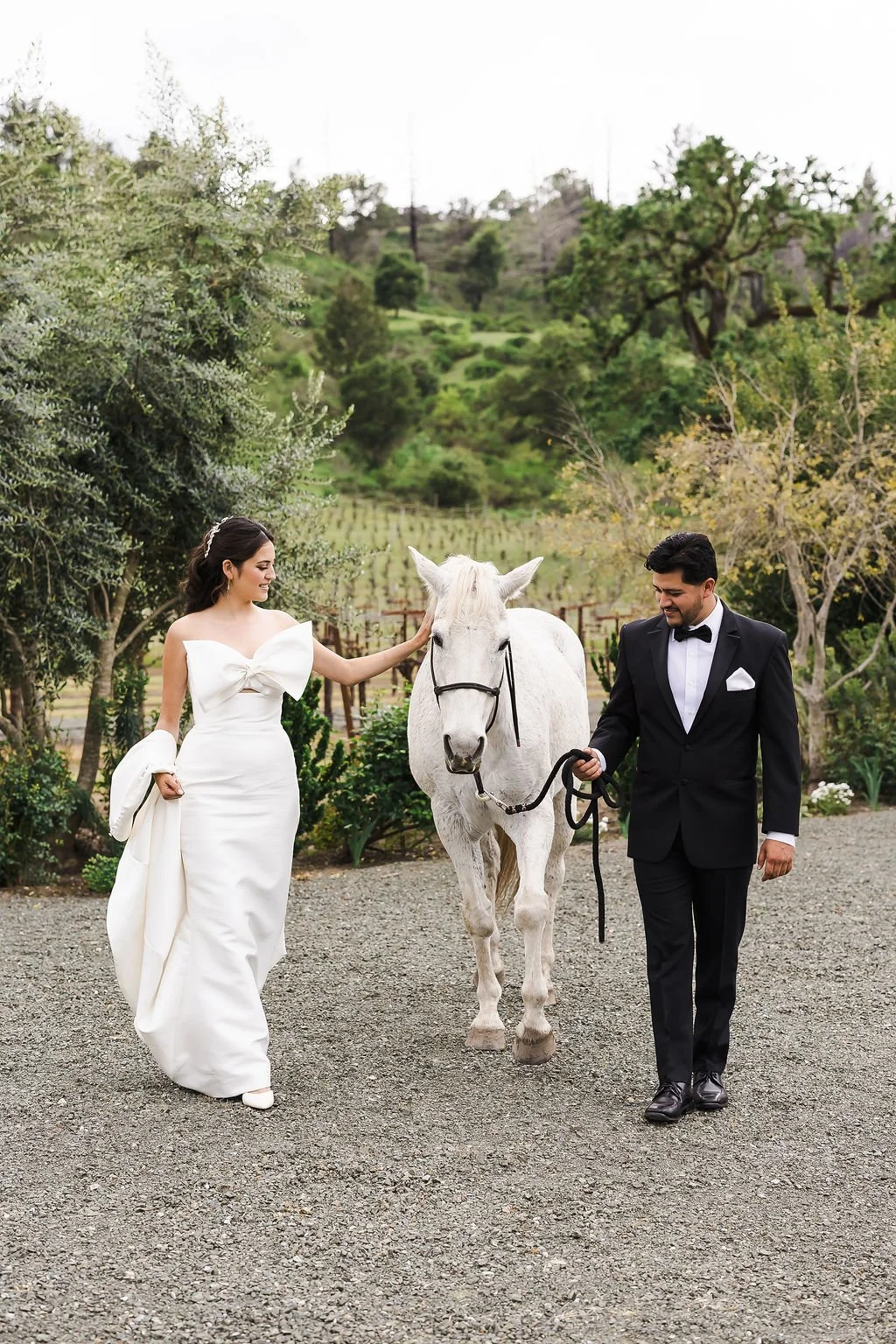 Bride and Groom Sunset Portrait in Vineyards – Napa Valley Wedding
