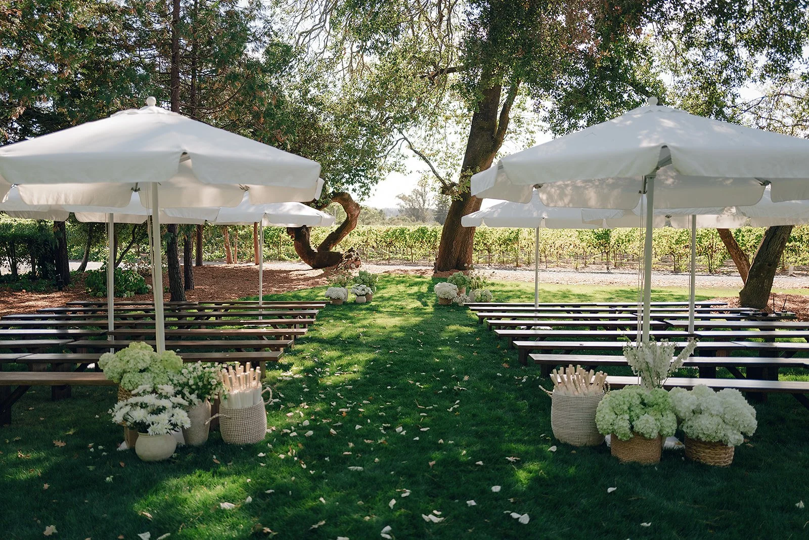 Bench seating ceremony design surrounded by vineyard views at Oak Grove Estate wedding in Sonoma County, by L’Relyea Events