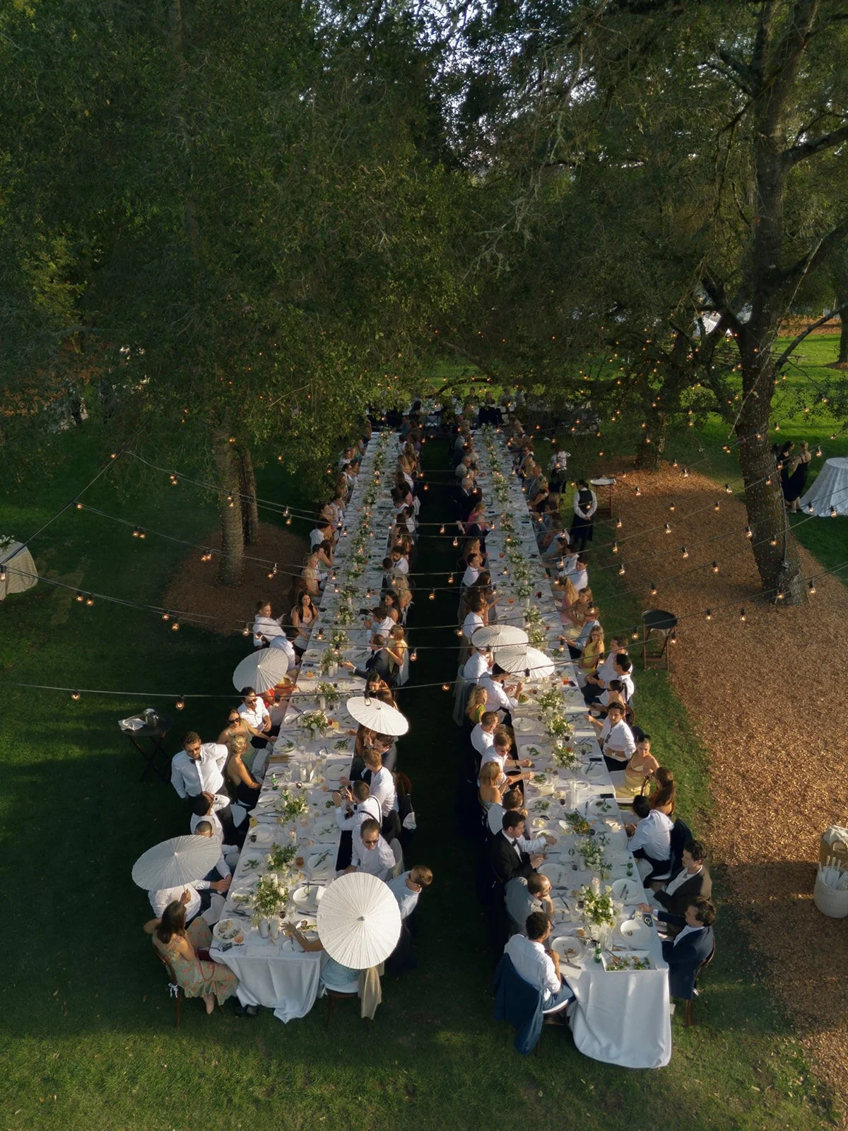 Guest candid moments at vineyard reception tables under oak trees at Sonoma County Oak Grove Estate wedding by L’Relyea Events