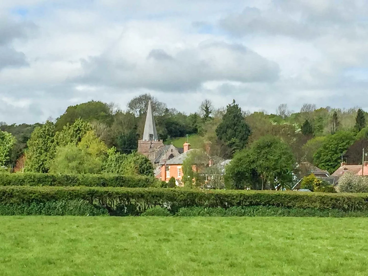 Dilwyn plot — JDW Building & Conservation