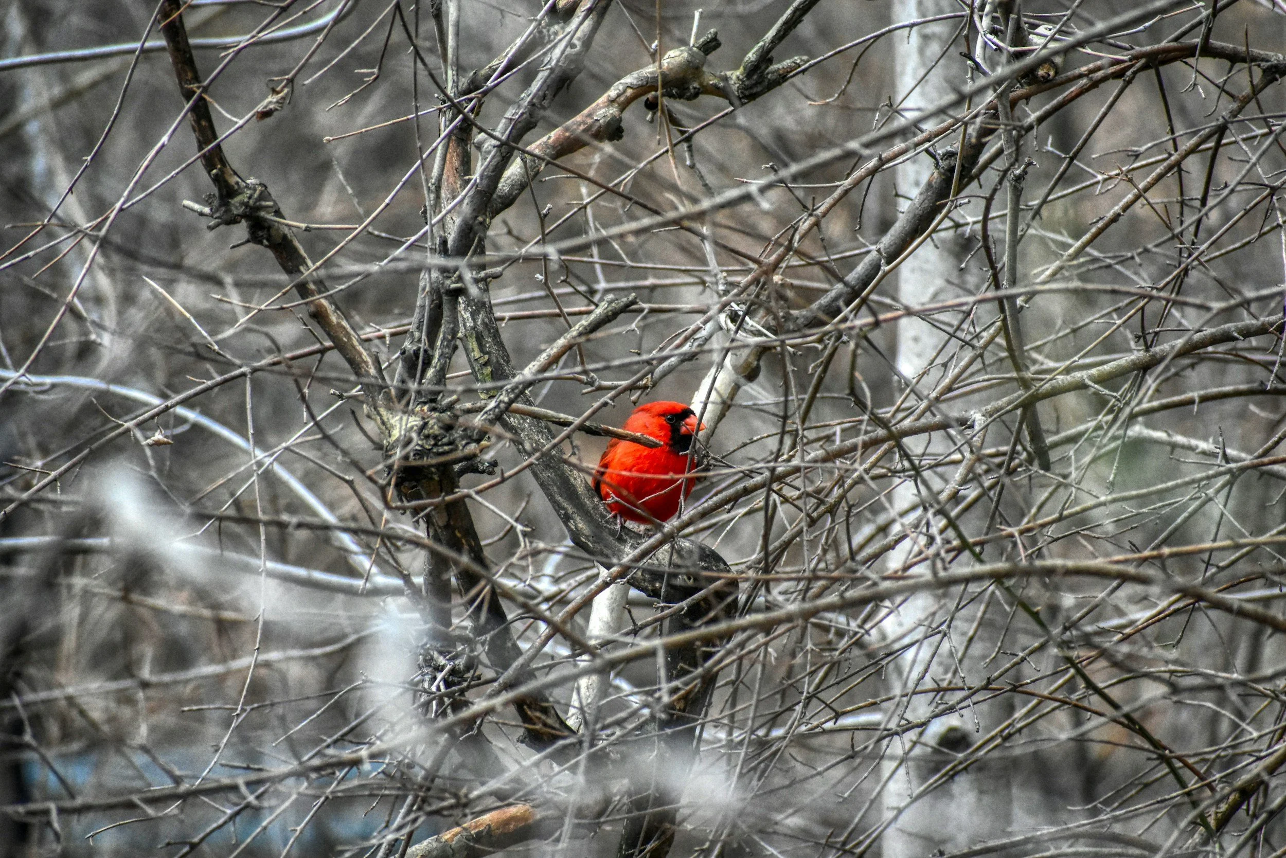 January Gathering - South