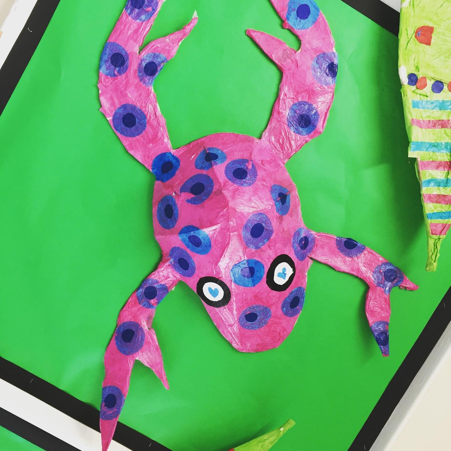Tropical frog and crazy caterpillar combination built with willow and tissue. #schooldisplay #primaryschoolart #schoolartworkshops #primaryschool #artworkshop #frogs #catterpillar #colourful #sculpture #theschoolartist