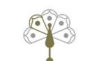 02-uppergrade-pfau-zielgruppen.png