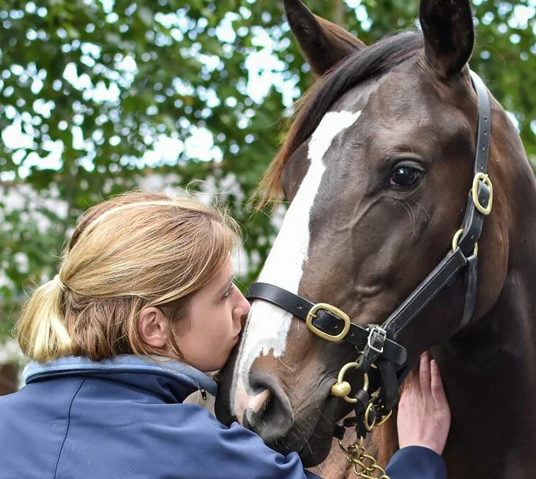 Thumbnail Godolphin.jpg