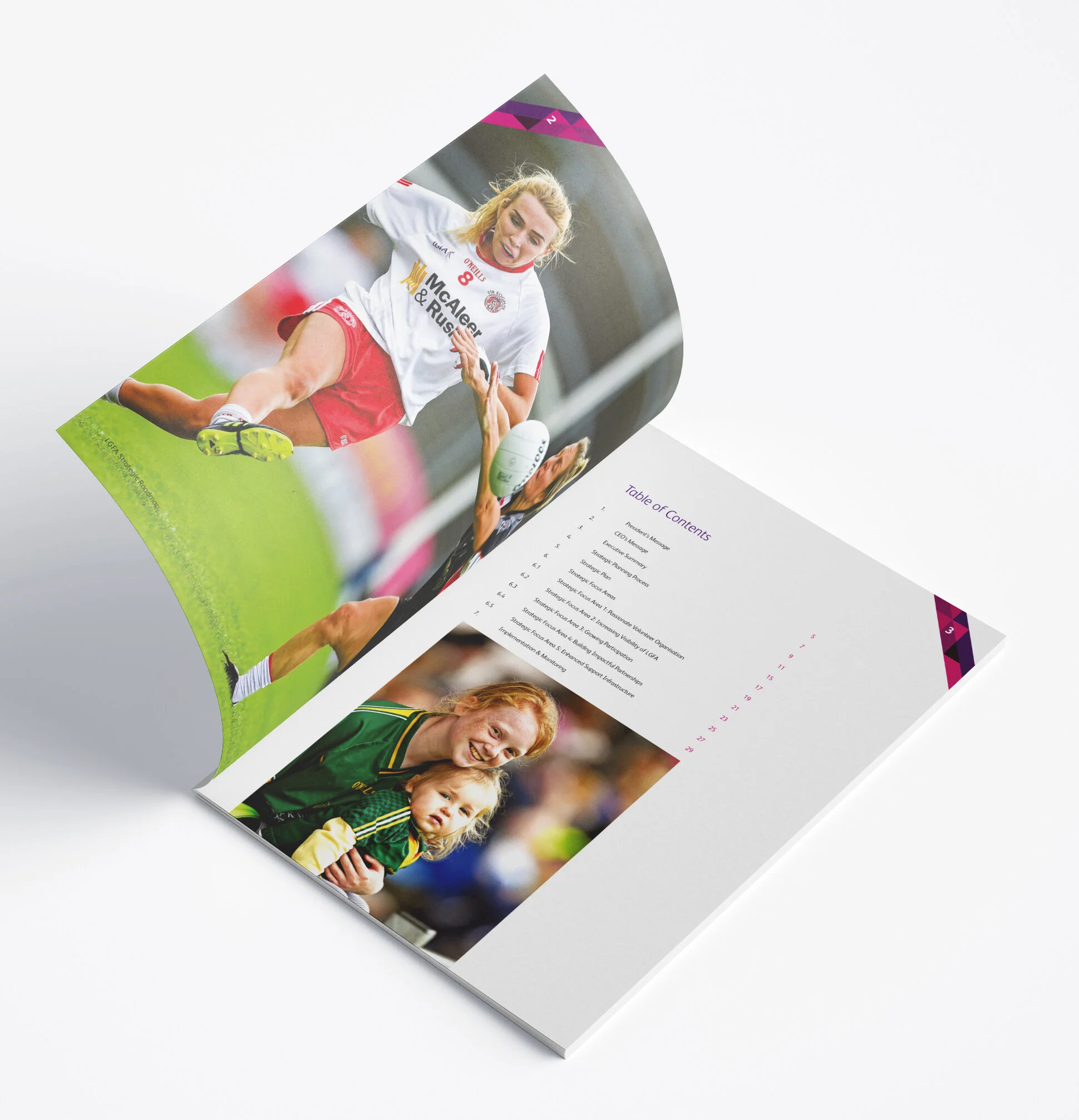 LGFA Strategic Roadmap 6.jpg