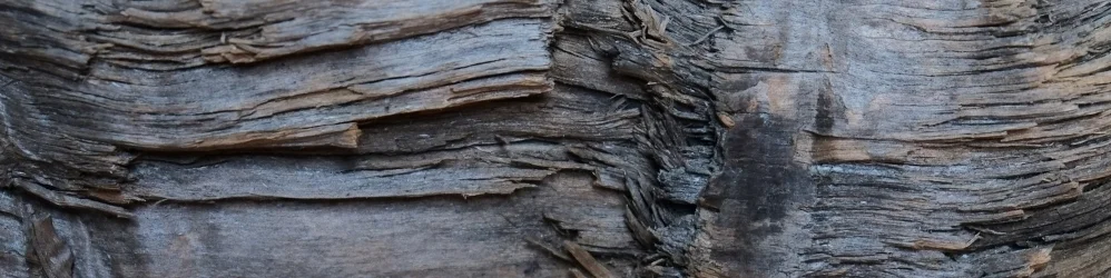 texture.JPG