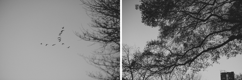 Atlanta Wedding Photographer | Concept-A Photography | Christina and Tom Engagement 32