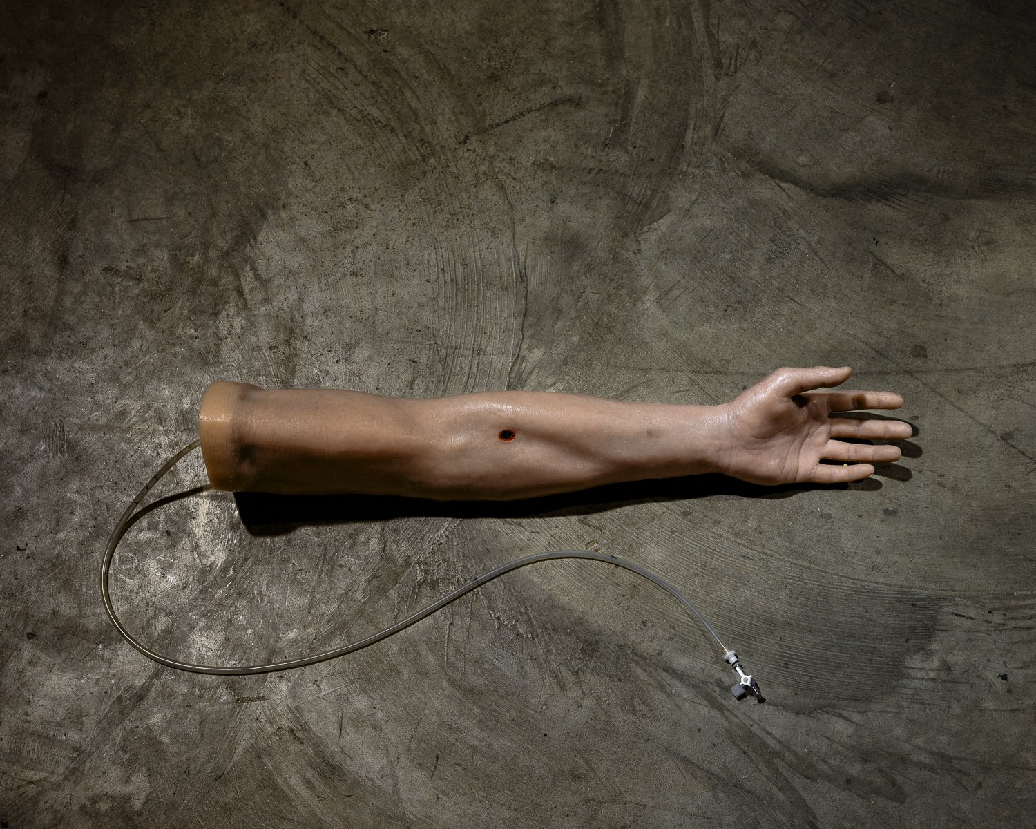  Gun Shot, National Center for Biomedical Research and Training, Baton Rouge, LA, 2025 