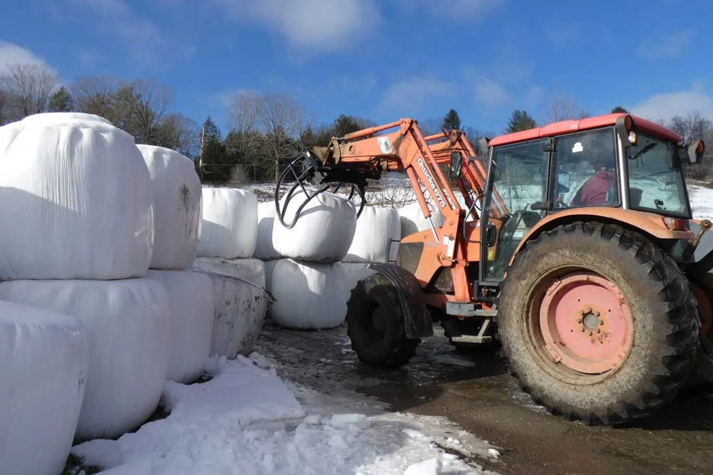 Early December 2018 — Down on the farm