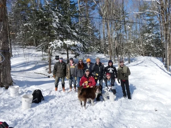 winter-crew-setting-taps-maple.jpg