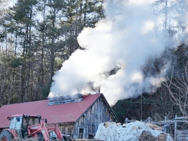 winter-maple-boiling-sugar-house.jpg