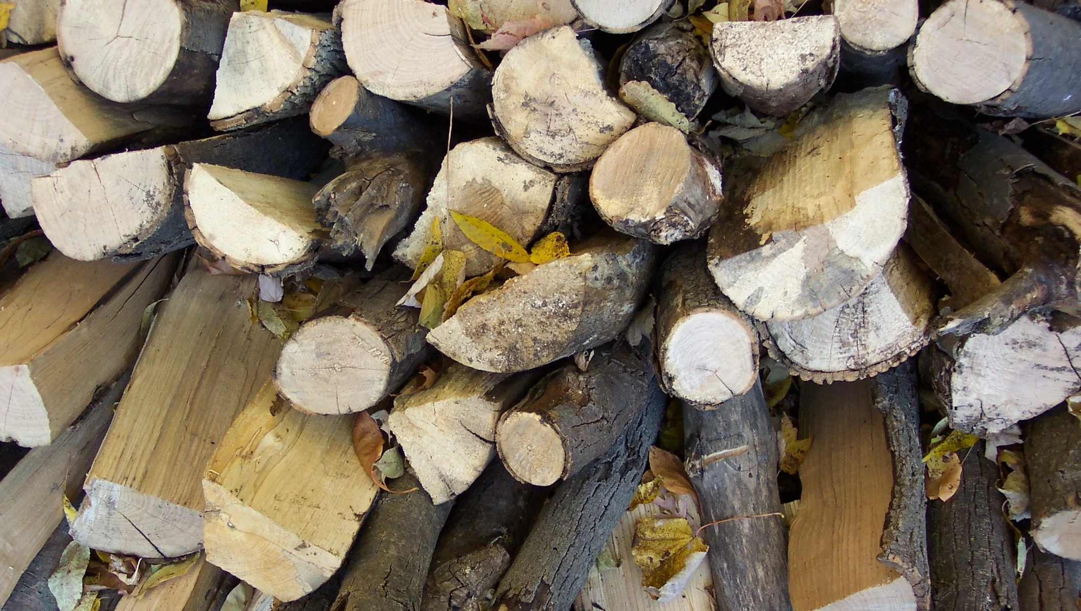 stackedwood2.JPG