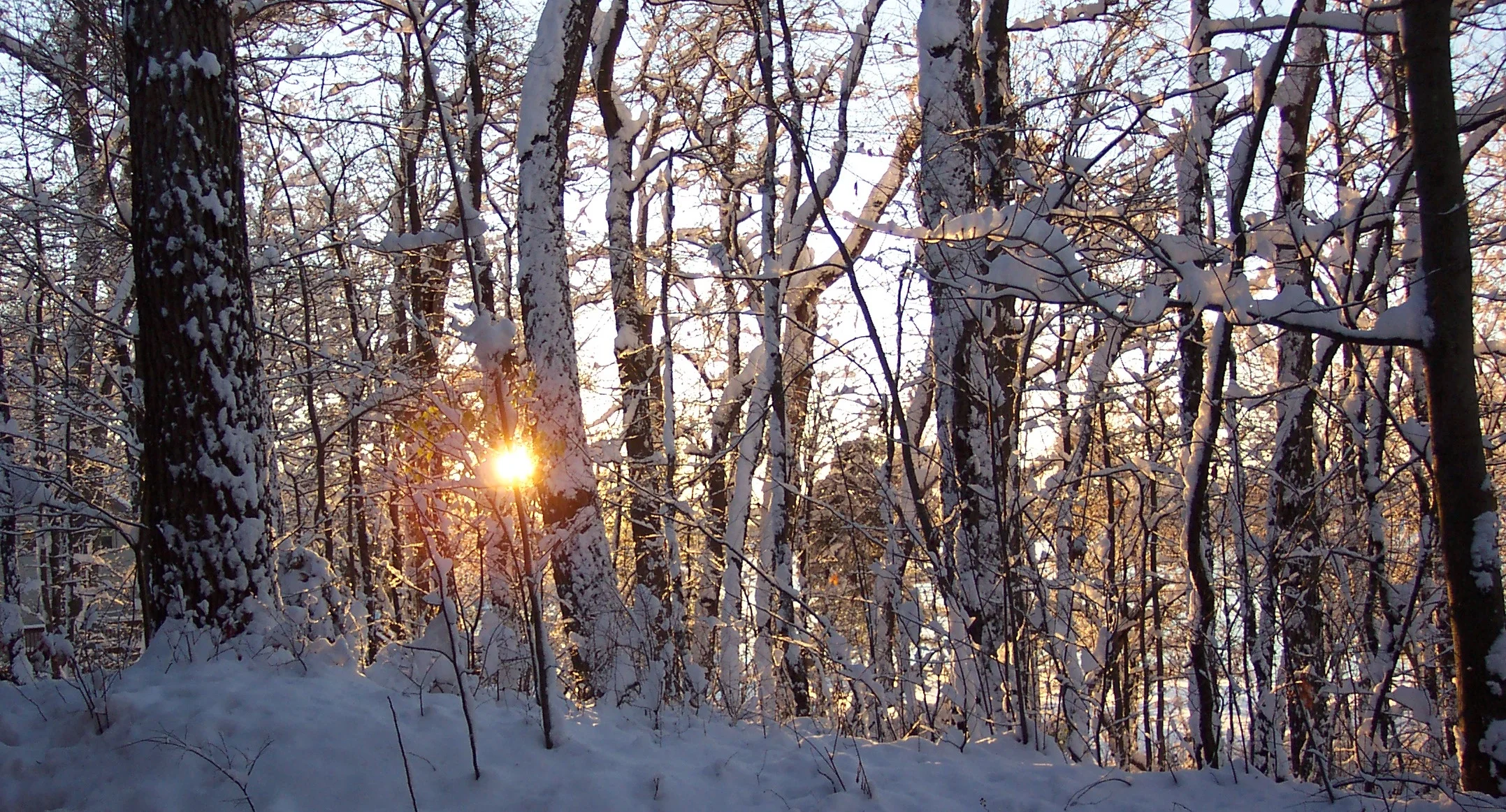 wintersun2.JPG
