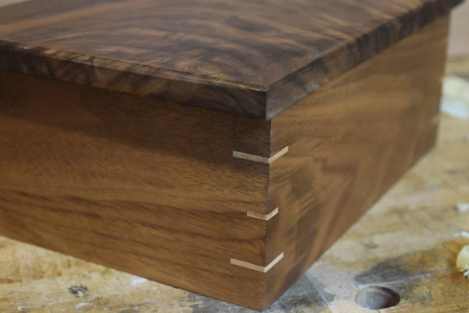 Maple splines