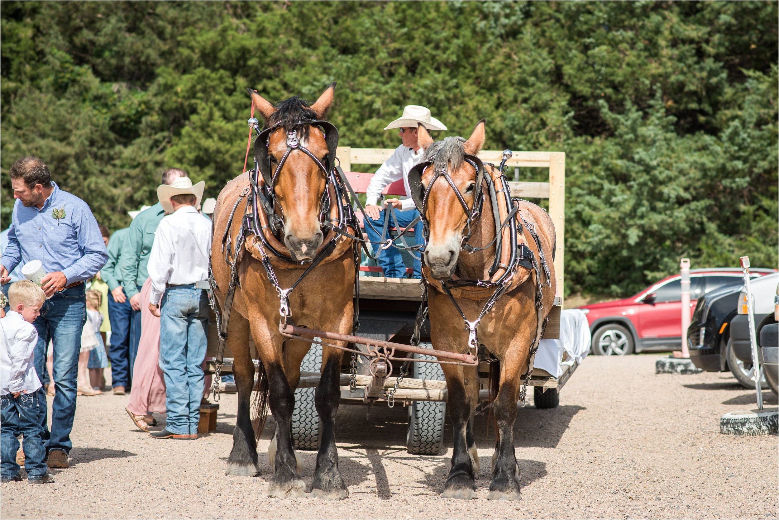 central_nebraska_wedding_4717.jpg