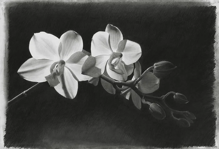 Flowers_web.jpg
