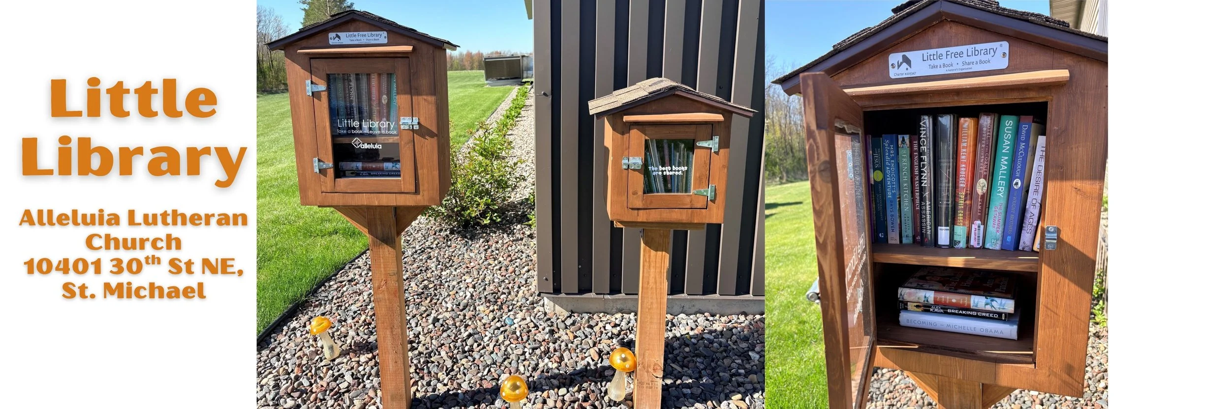 Little Library.jpg
