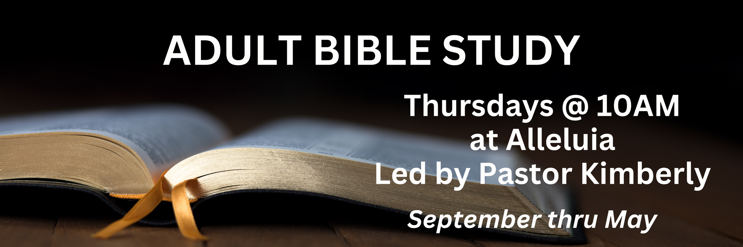Adult Bible Study (60 x 20 in).png