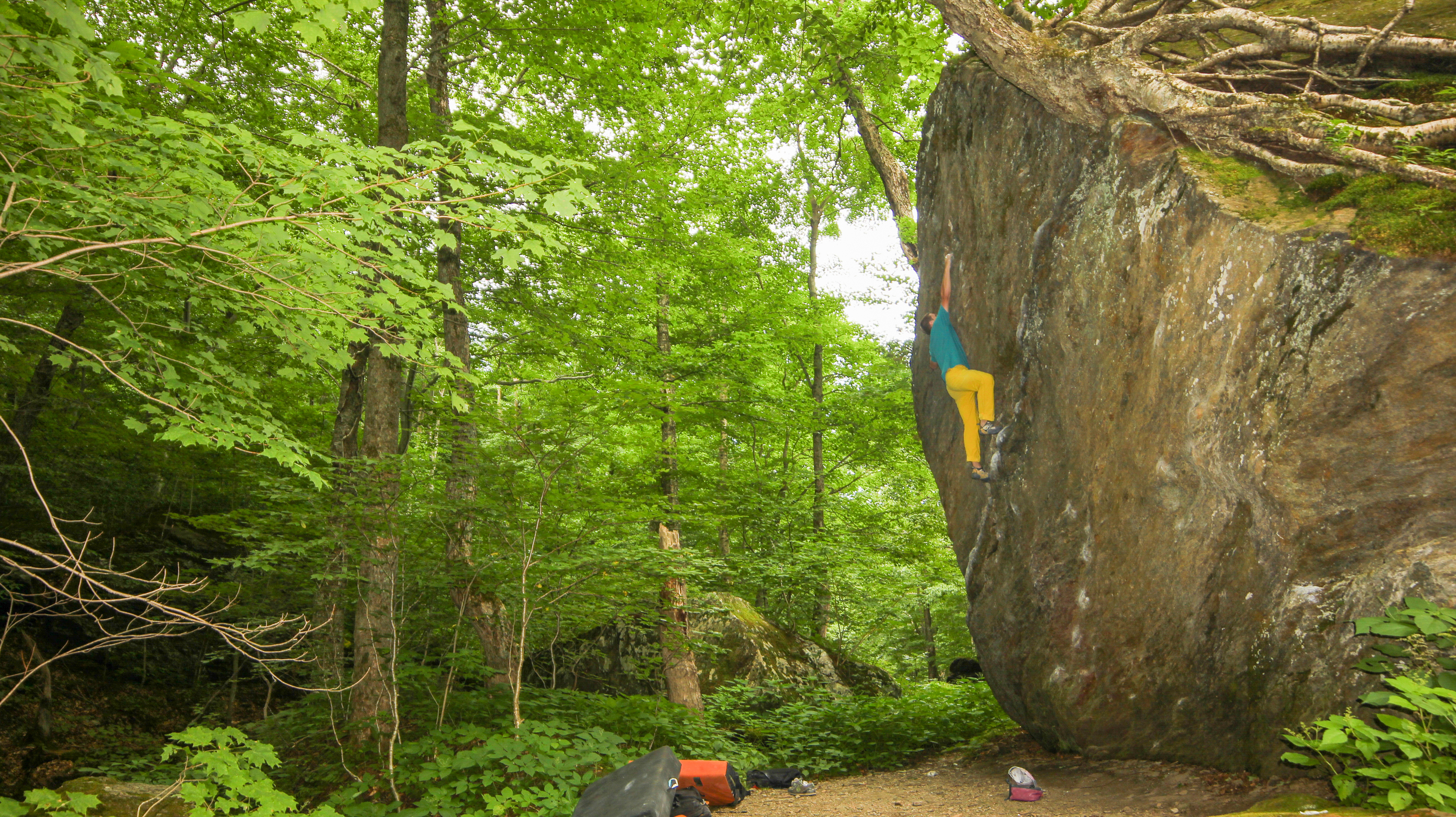 The Roots V5 - Photo by Taylor Treadgold