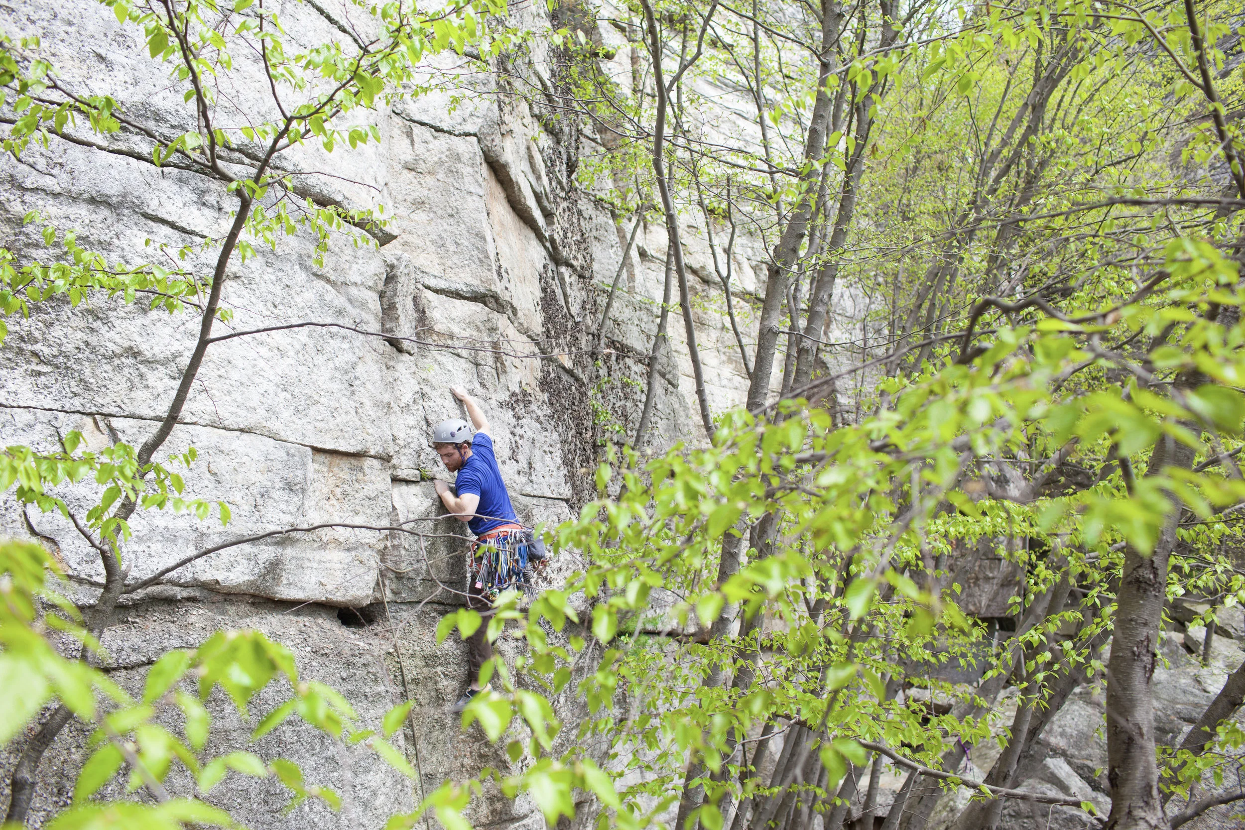 20170511-_MG_8905.jpg