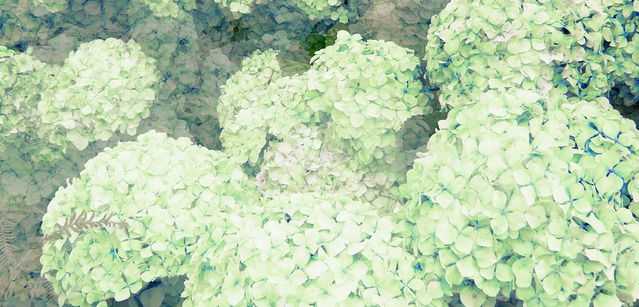 "Brutal Dirt" and More Poetry by Liz Clayton Scofield