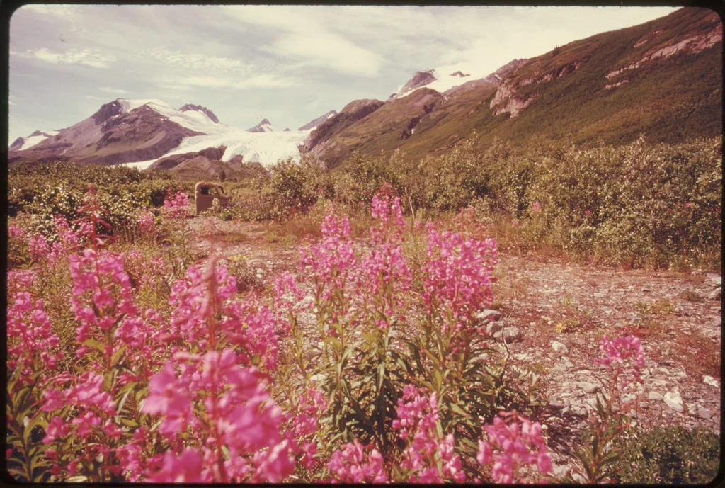 PHOTO: Dennis COWALS
