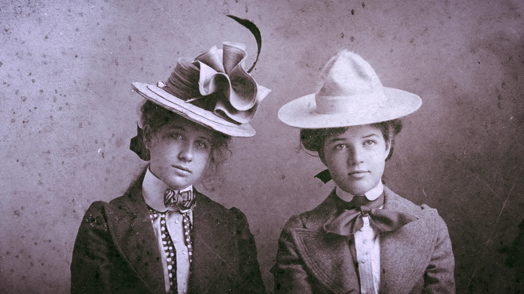 LOUDSPEAKER:: Dissociation with the Matriarchy by Shane Dedman