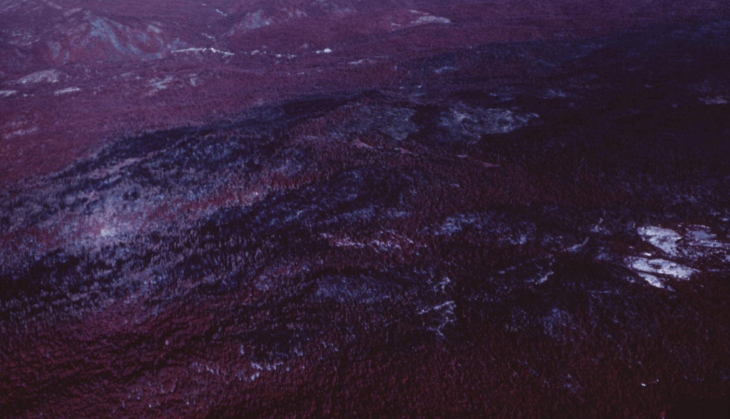 LOUDSPEAKER:: "Occupath", a poem by Hannah Neal