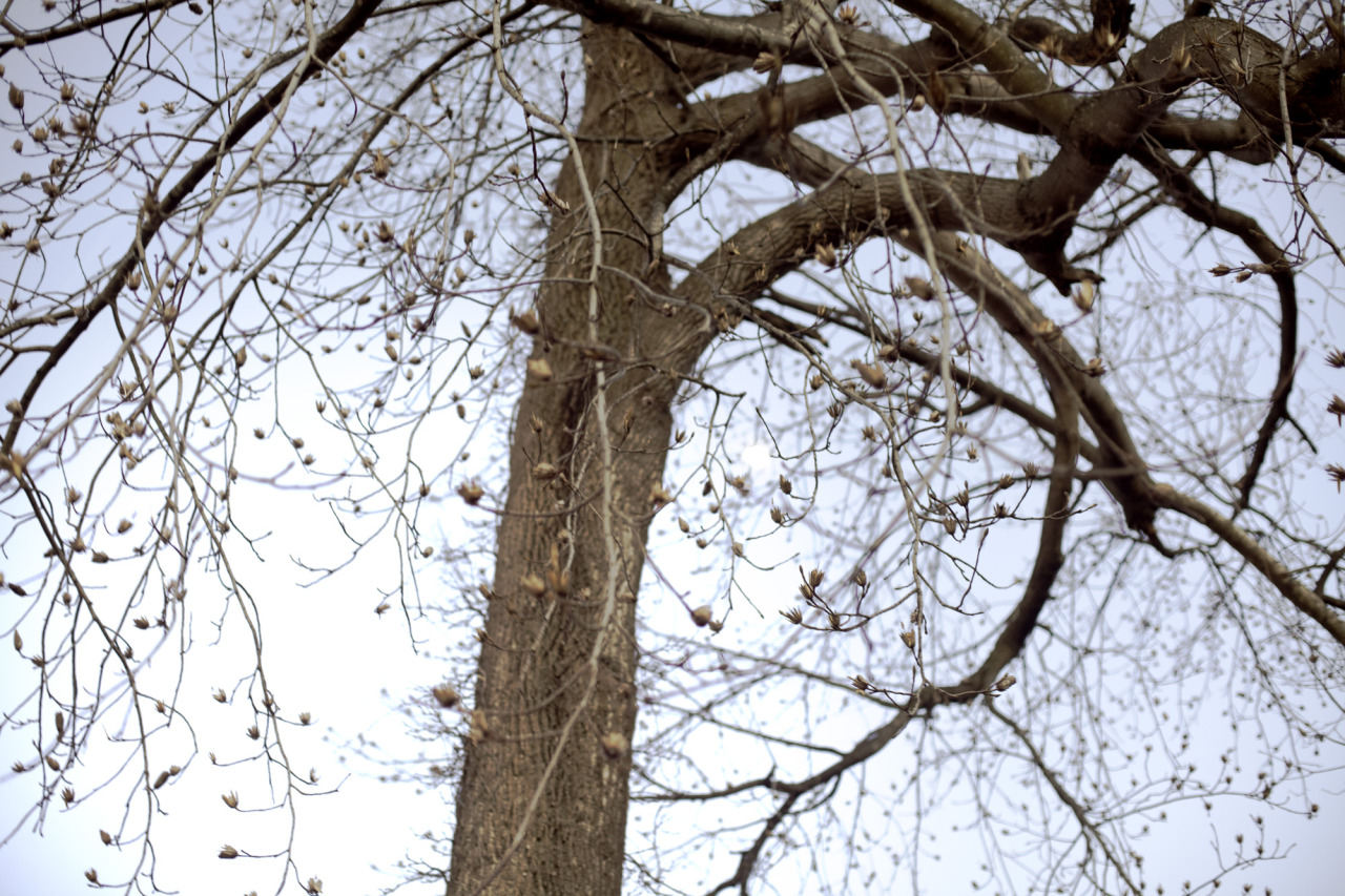Loudspeaker:: Small Town Rhapsody by Michael T. Smith