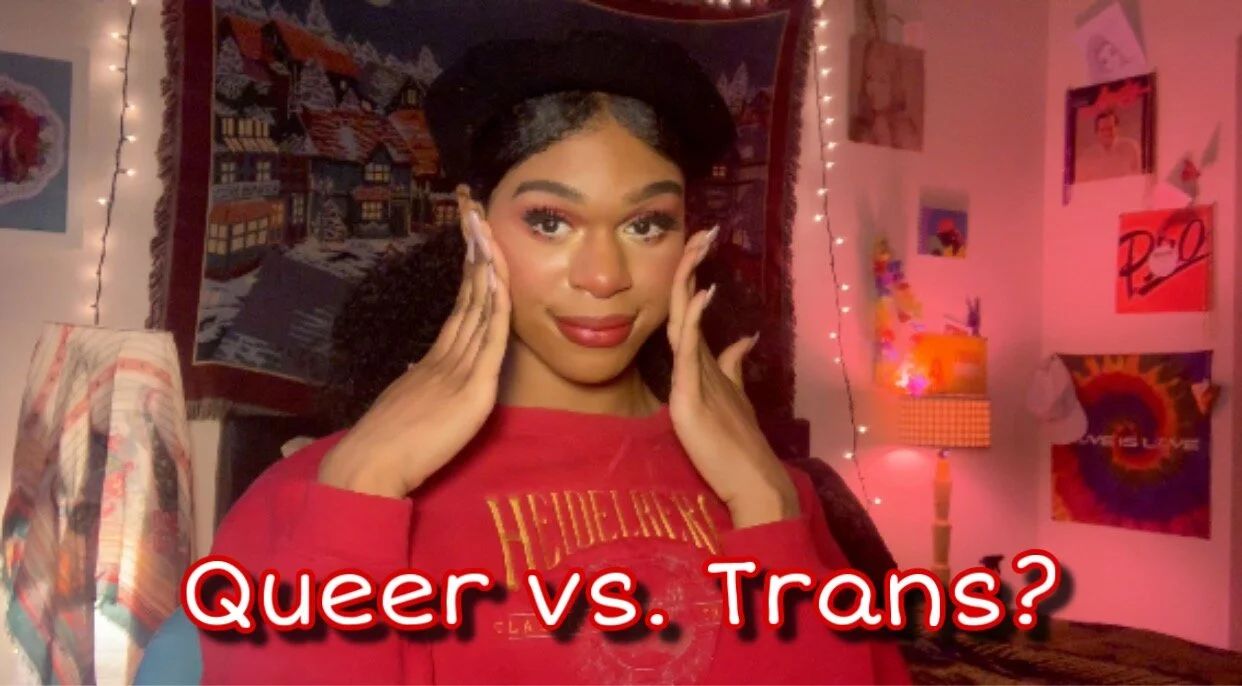 Trans Agenda: Being Trans Doesn't Make Me Queer, continued