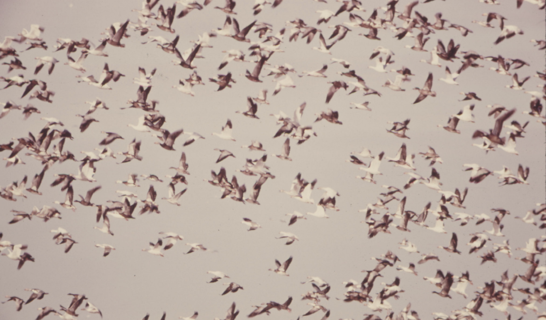 LOUDSPEAKER:: 'Gay Pole Dancer' poetry by Alan Sugar