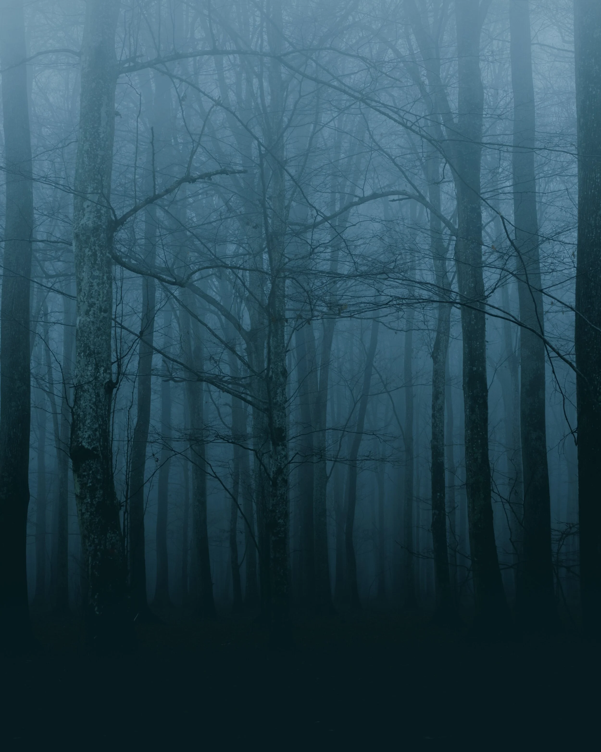 LOUDSPEAKER: Poetry by Shore Grae