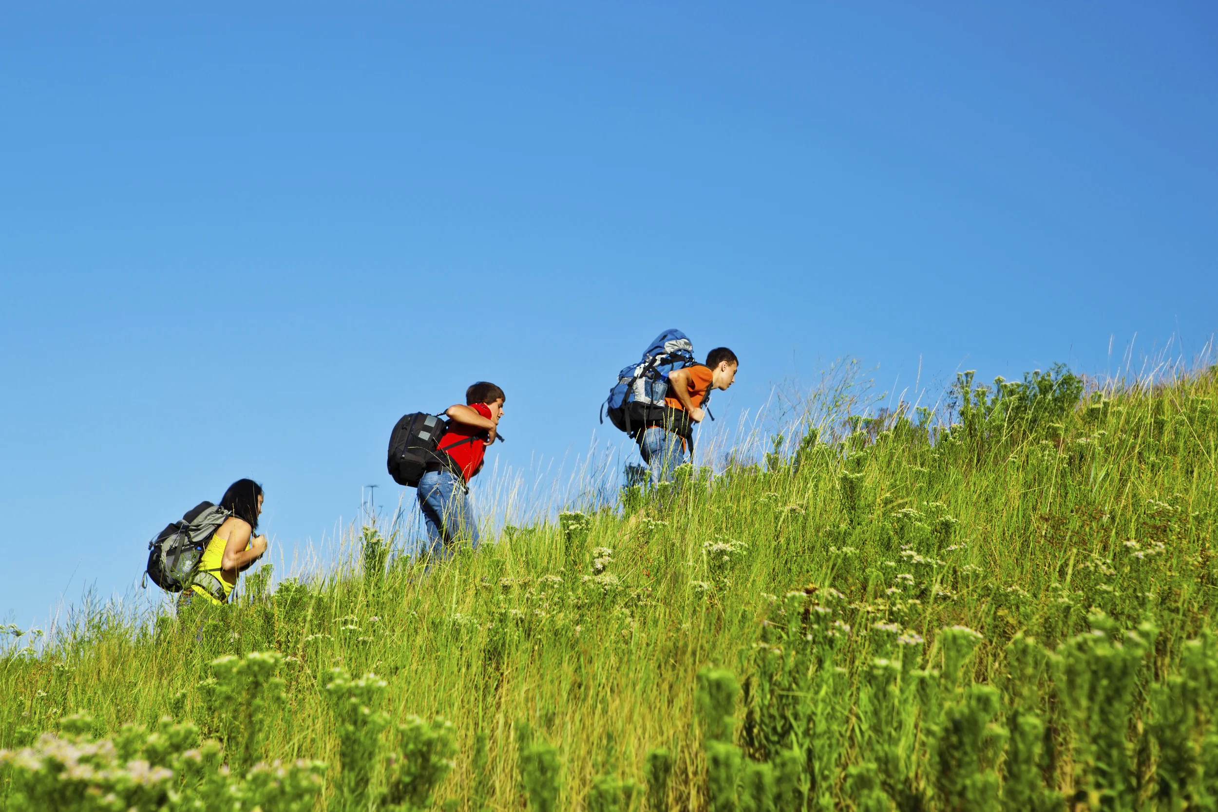 iStock_000022584400_Large.jpg