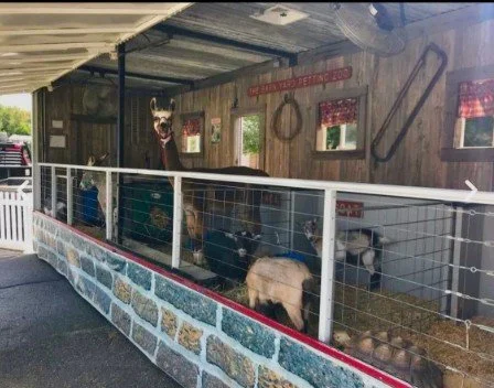barn.jpg