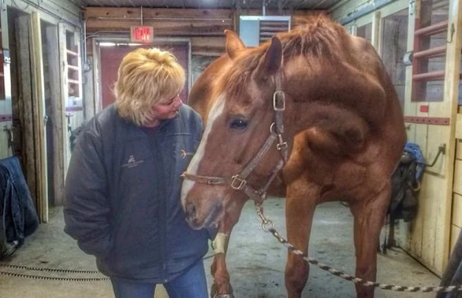 Benefits to Horses of Free Feeding and Slow Feeding