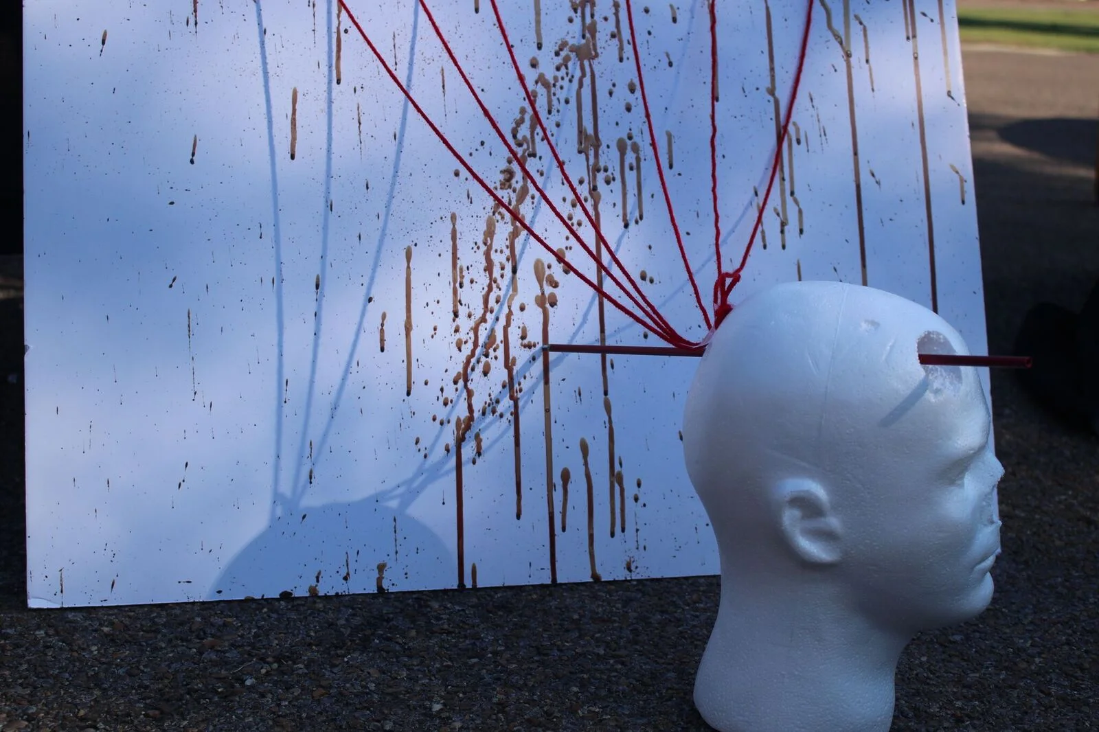   Photo by Summer King  