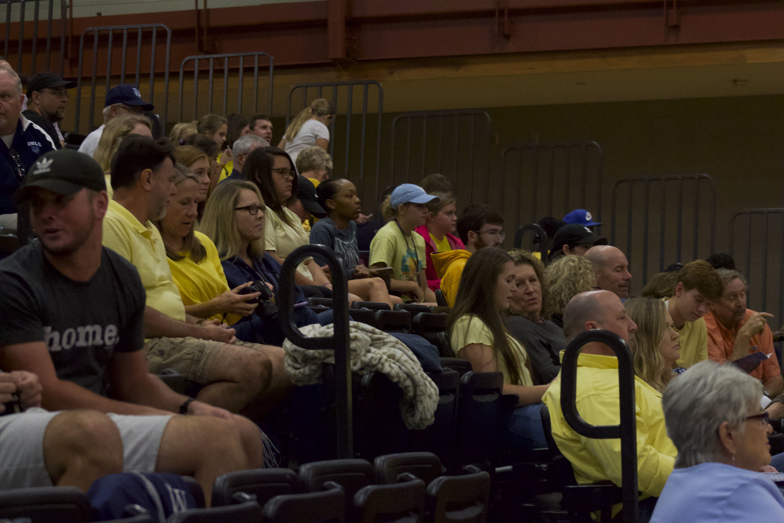 Yellow Fans.JPG