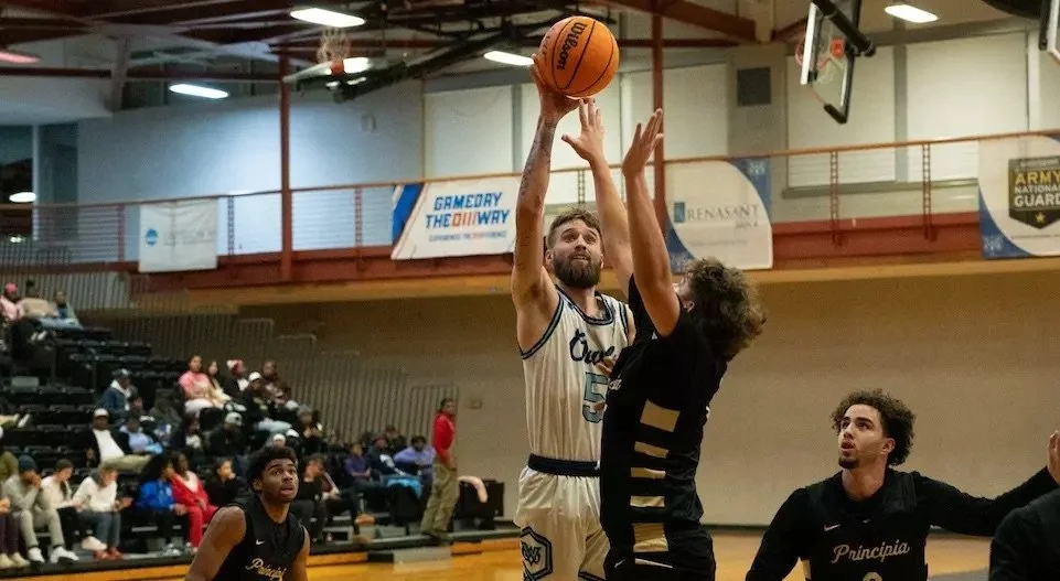 Owls Athletics sports coverage: men, women's basketball