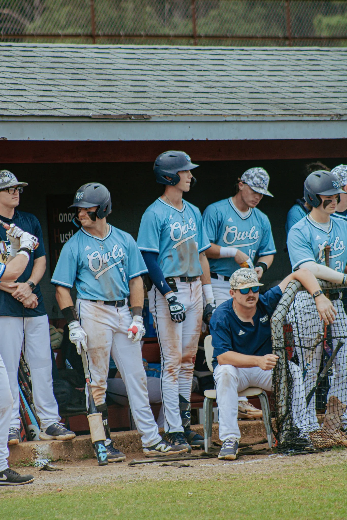 Spring sports coverage: women's tennis, baseball