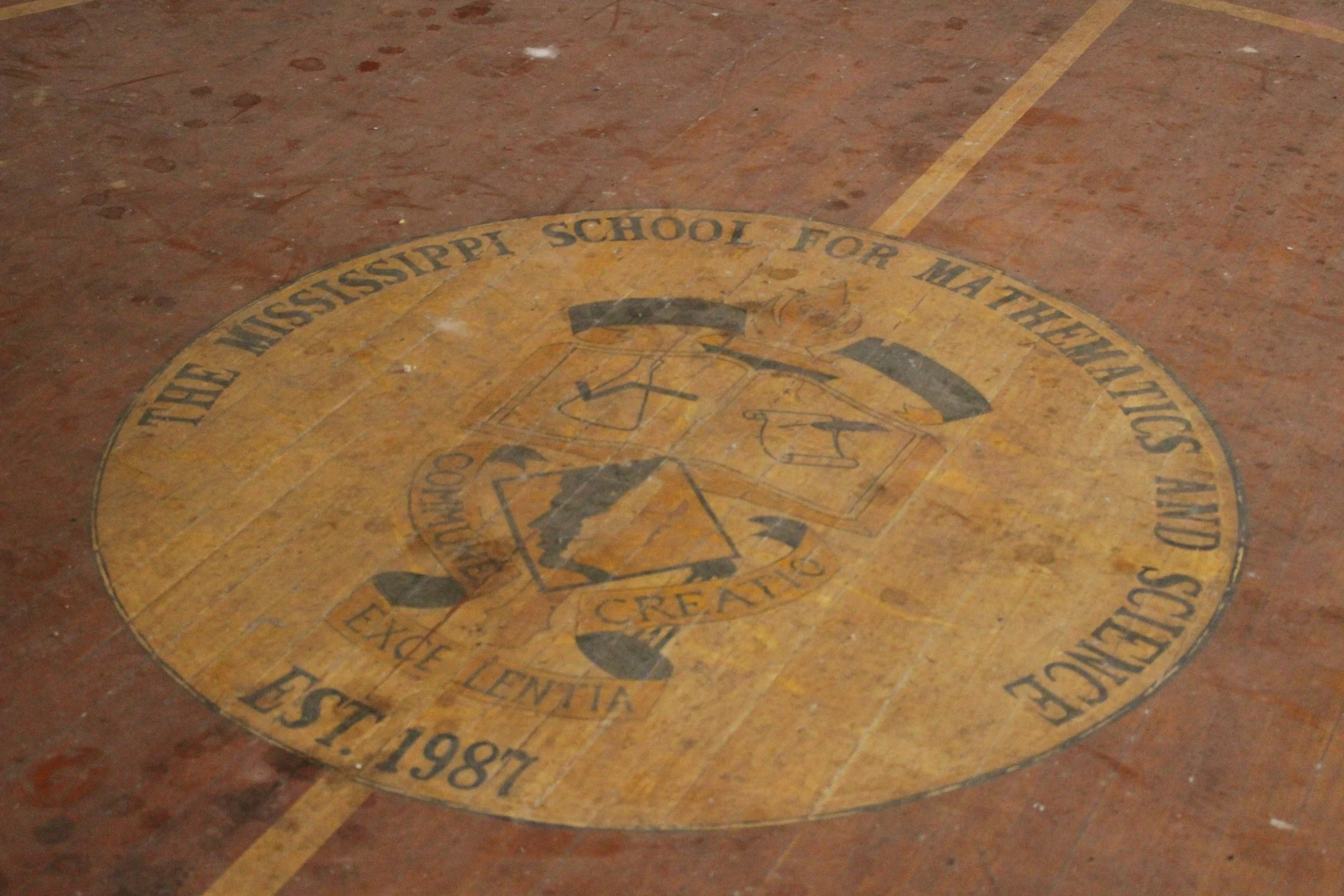  The MSMS logo on the floor of the gymansium. 