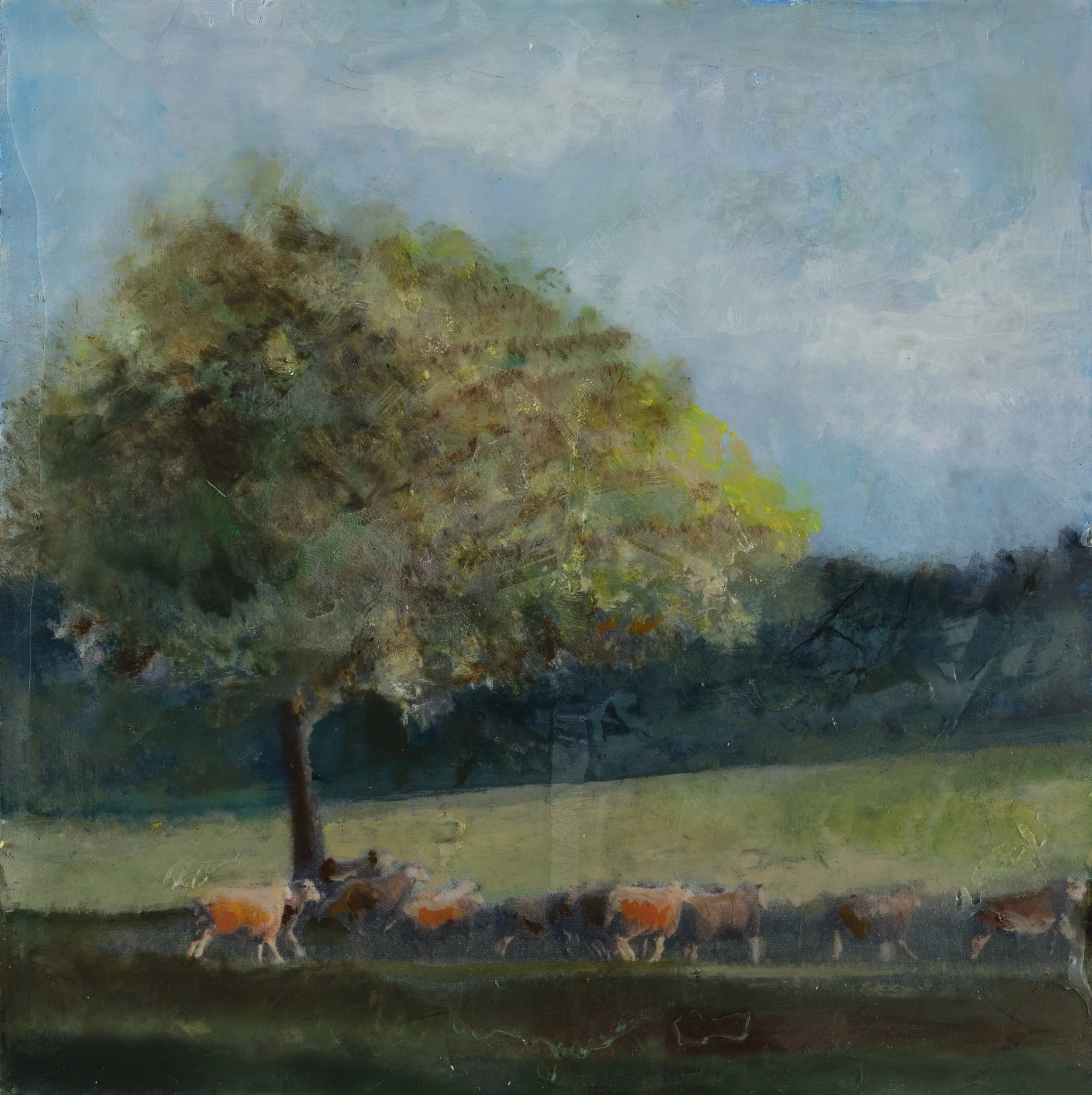 Noone Would Notice 4 x 4 oil and encaustic.JPG
