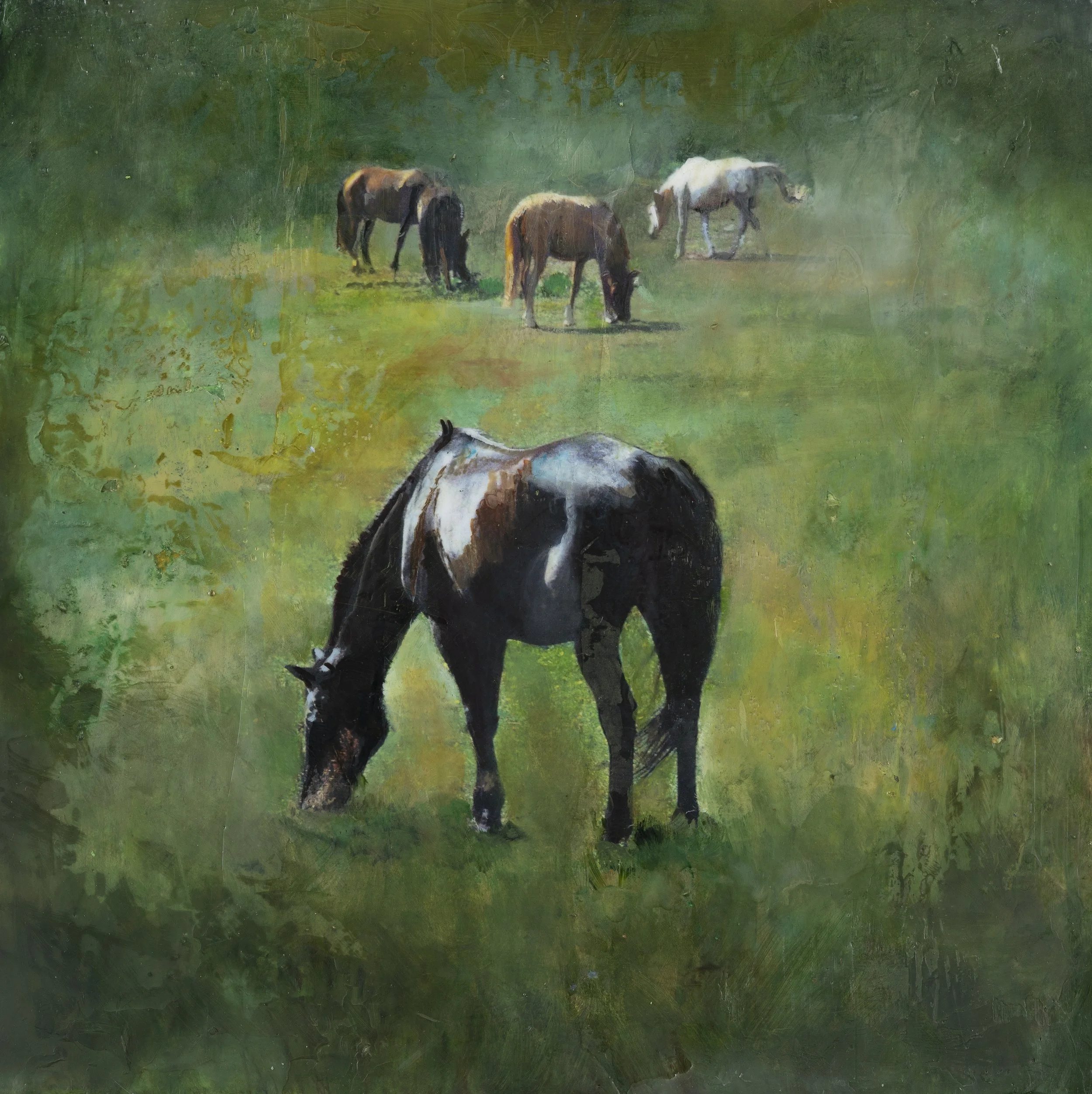 Stay Calm 8 x 8 oil and encaustic .JPG