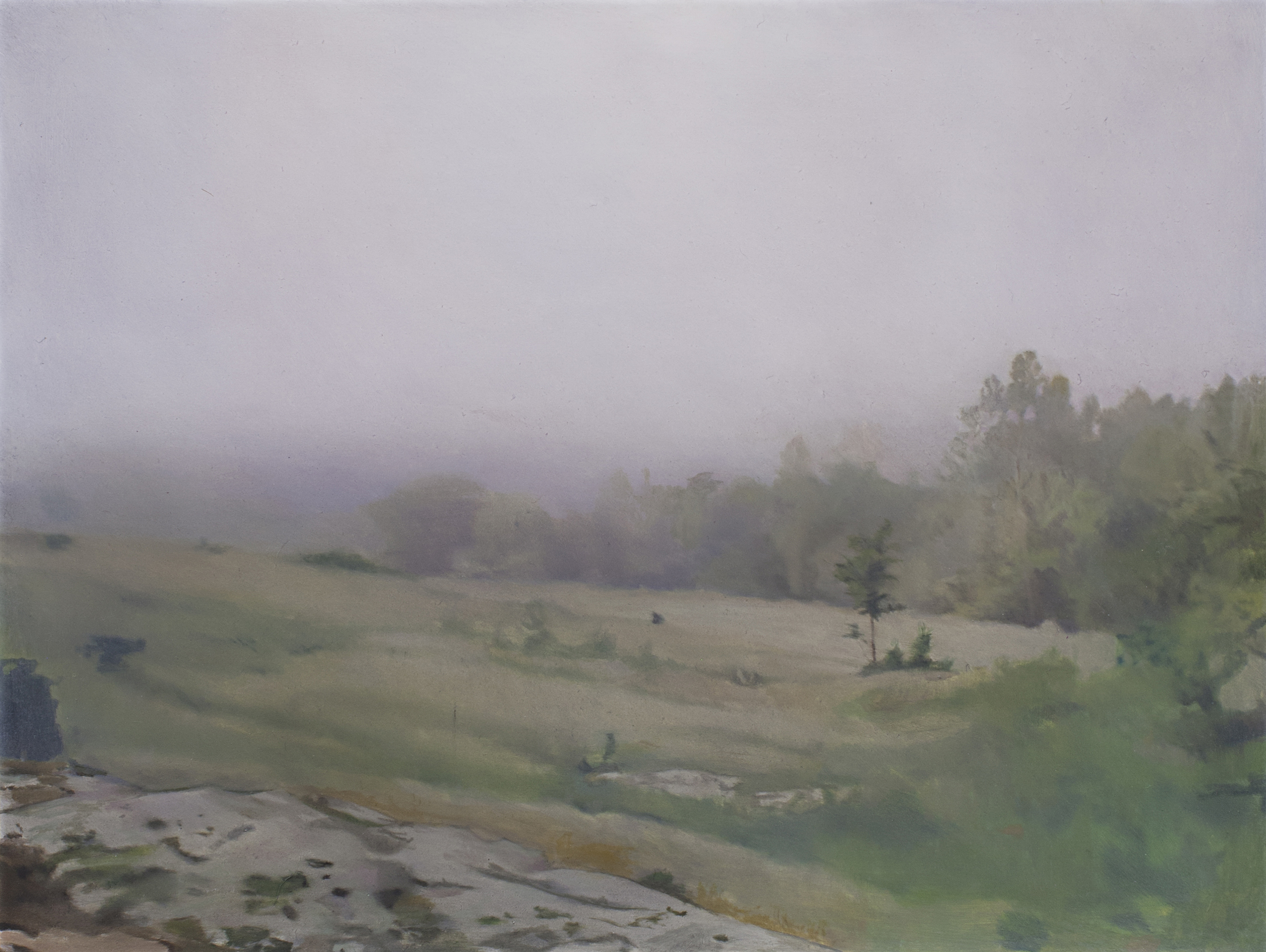 landscape, oil on panel, 12" x 16", 2013