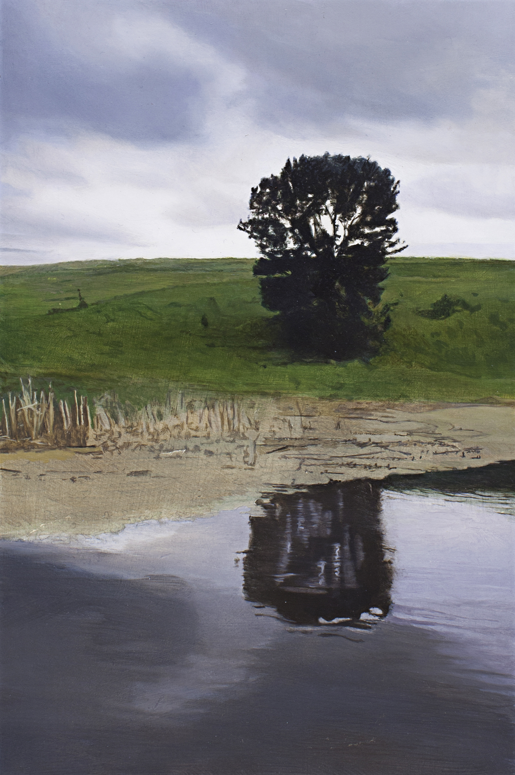 wetland, oil on panel, 11.25" x 7.5", 2013