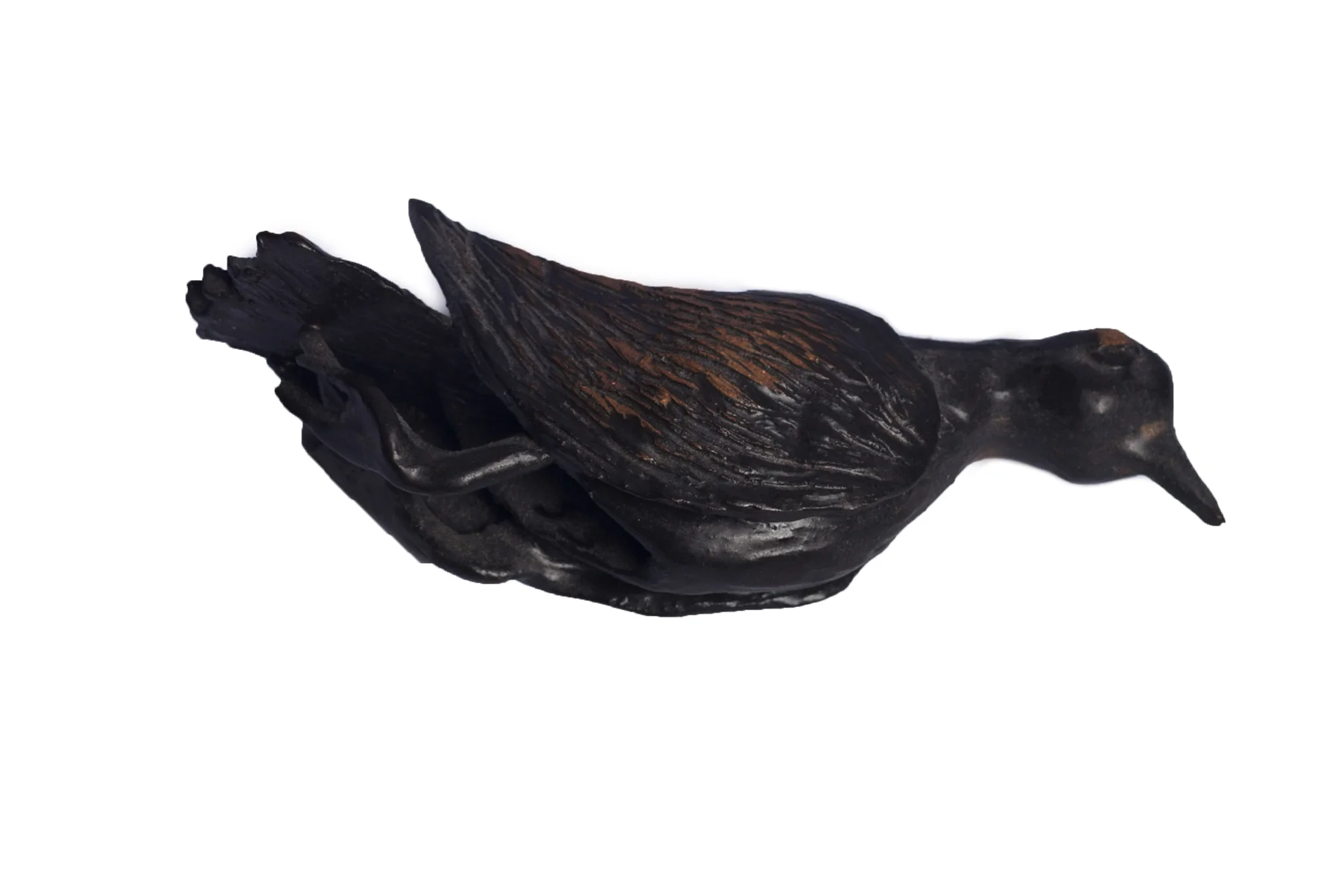 Dead Bird (33.1)