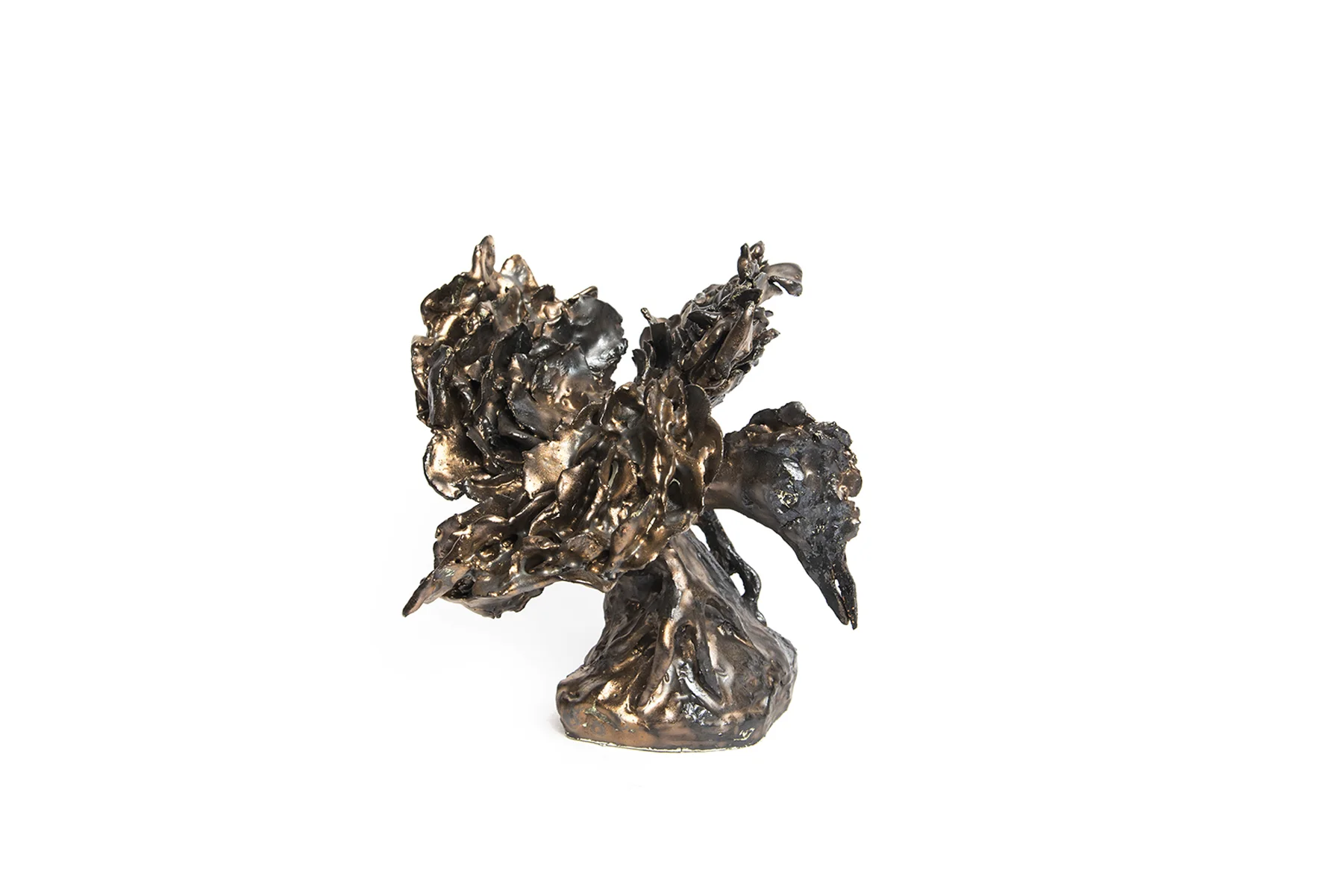 Gold Bird (41.2)