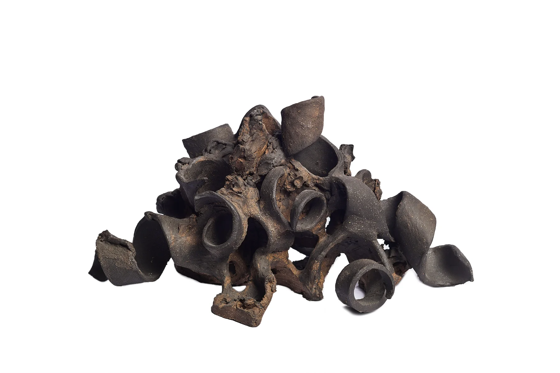 Rusted "Metal" Curls (7.2)