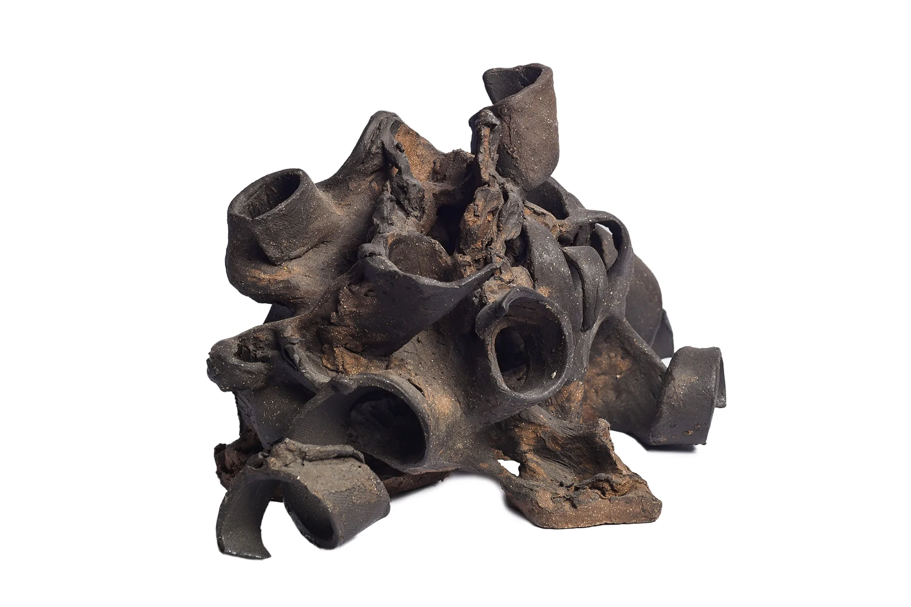 Rusted "Metal" Curls (7.3)