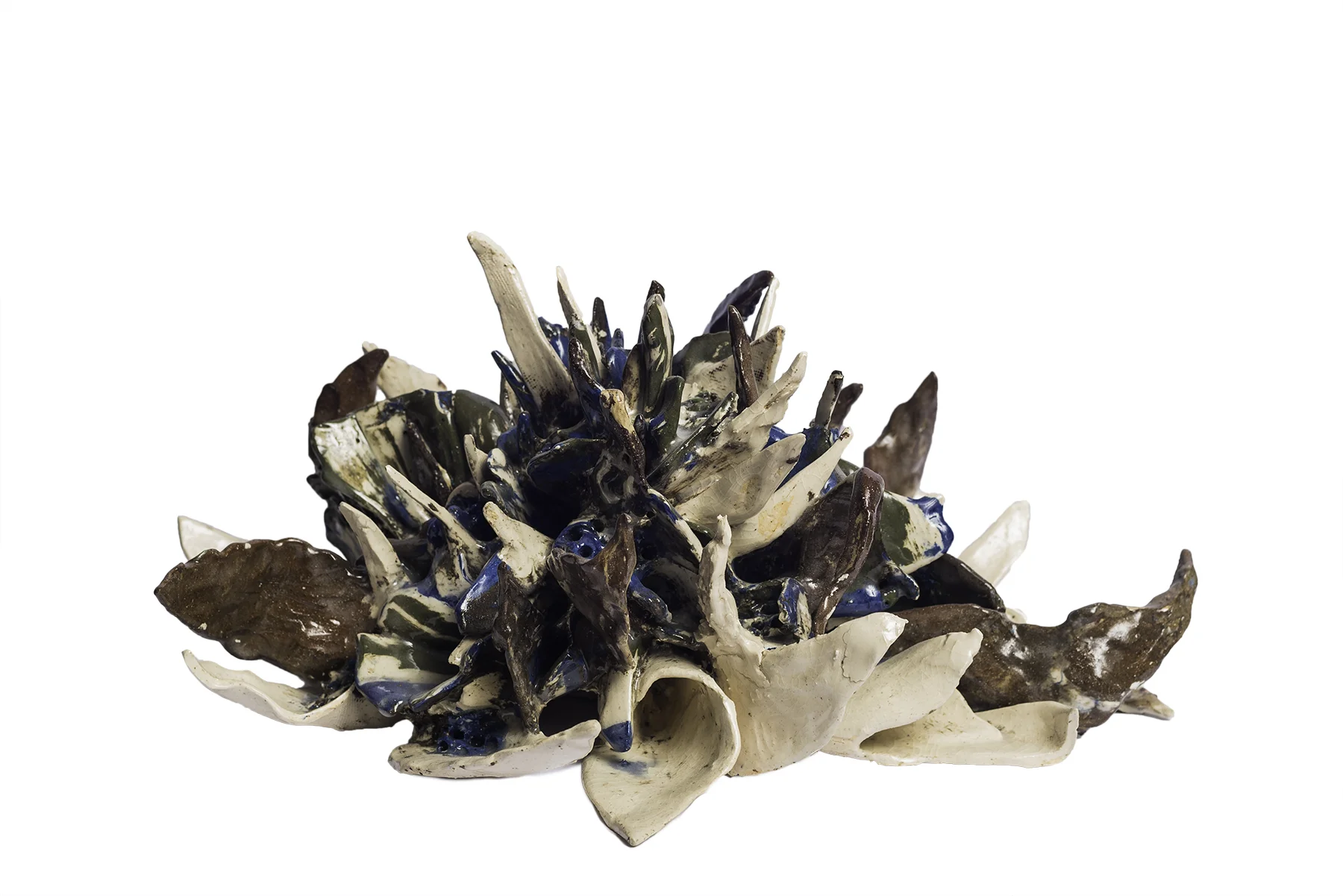 Underwater Flower (9.2)