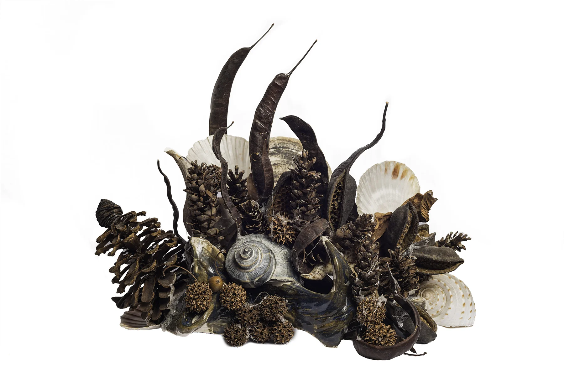 Composition with Pines Cones, Shells & Carobs (12.1)